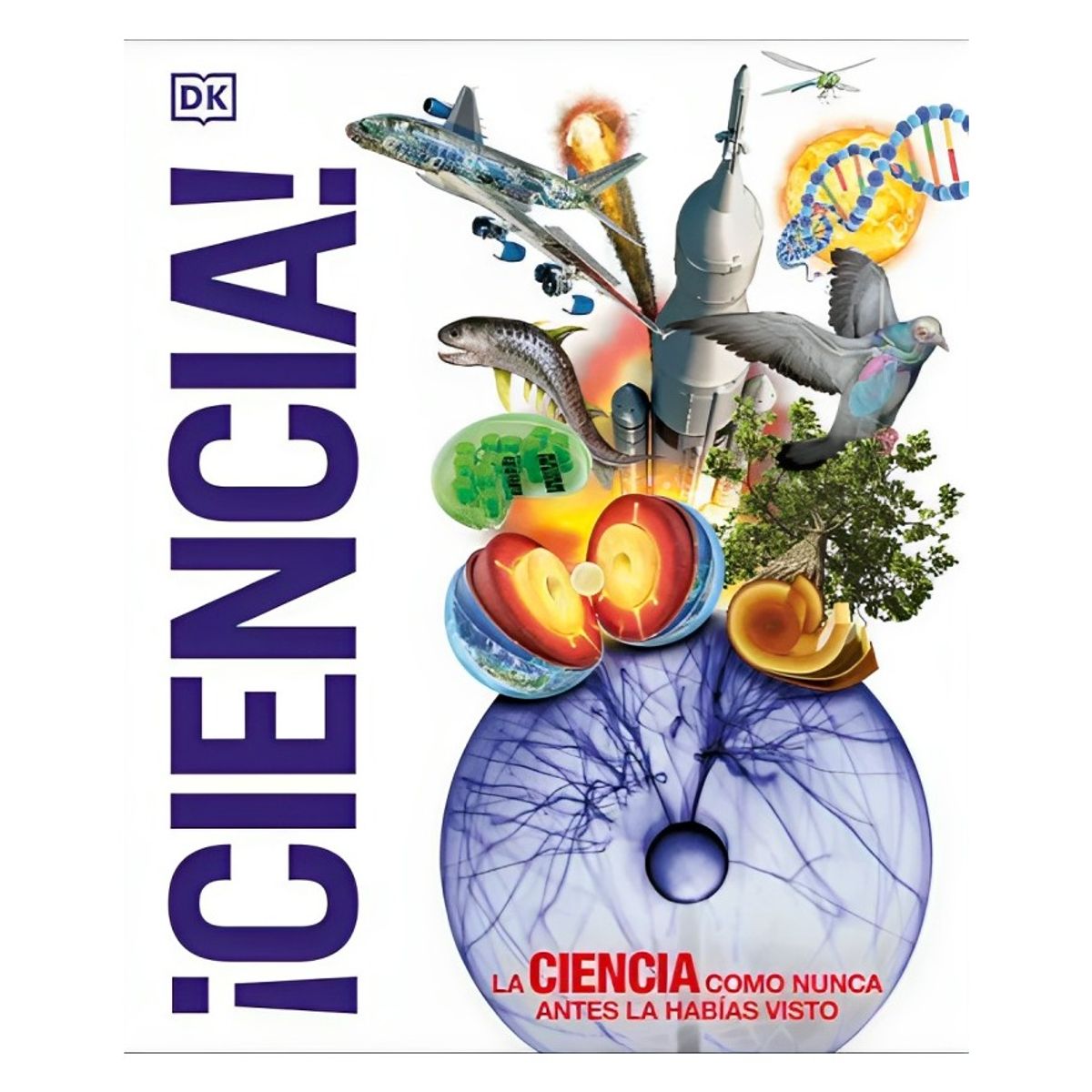 TOP10BOOKS - LIBRO Anatomia Del Yoga - Dk