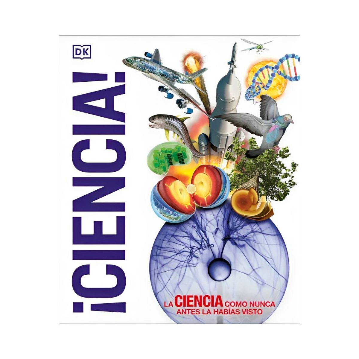 TOP10BOOKS - LIBRO Anatomia Del Yoga - Dk