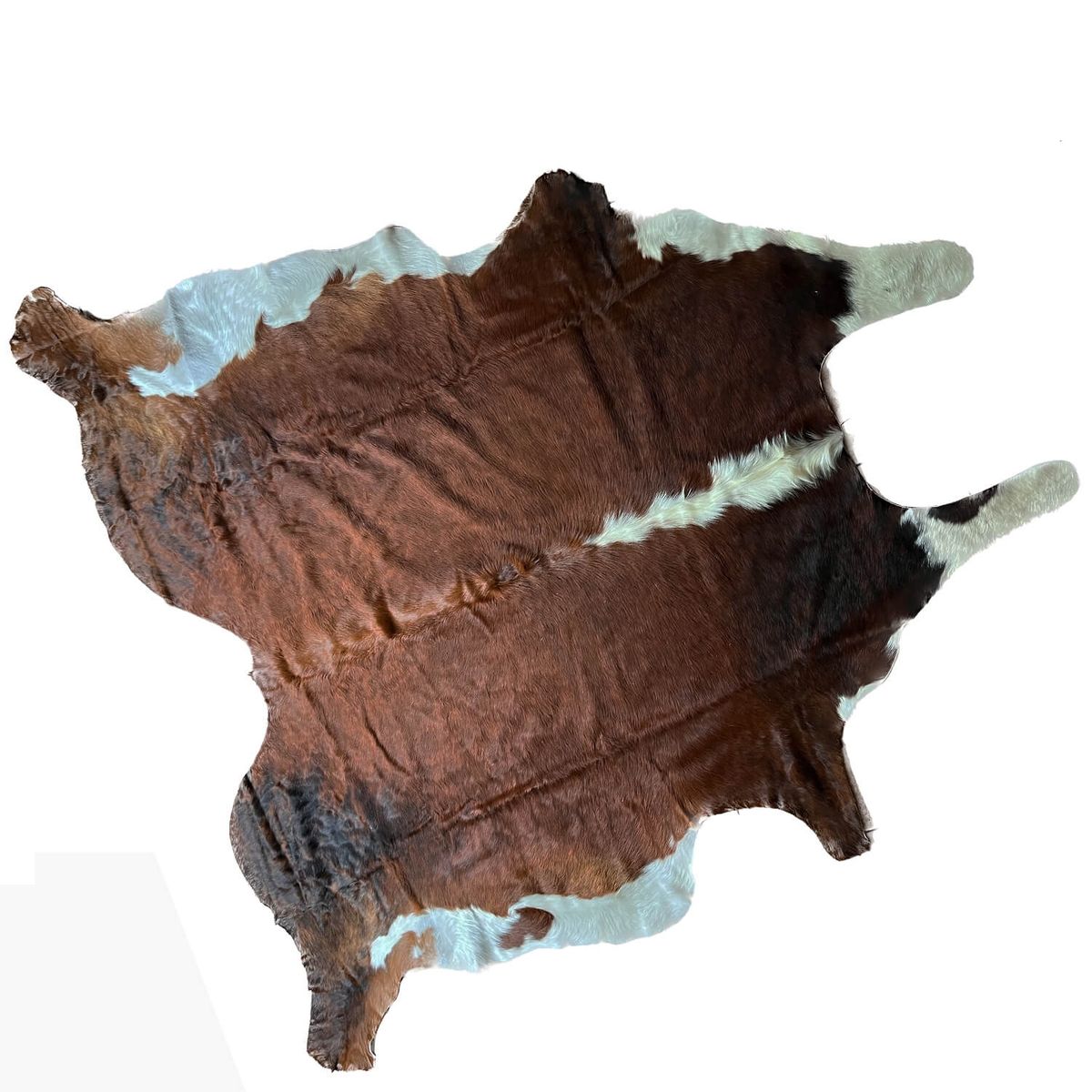 AL FILO DEL GAUCHO - Alfombra Premium Café Manchas