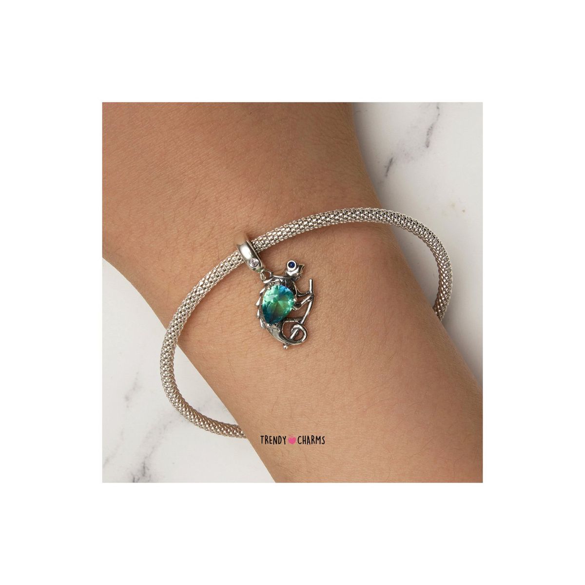 TRENDY CHARMS - Charm Camaleón de Evolución Plata 925