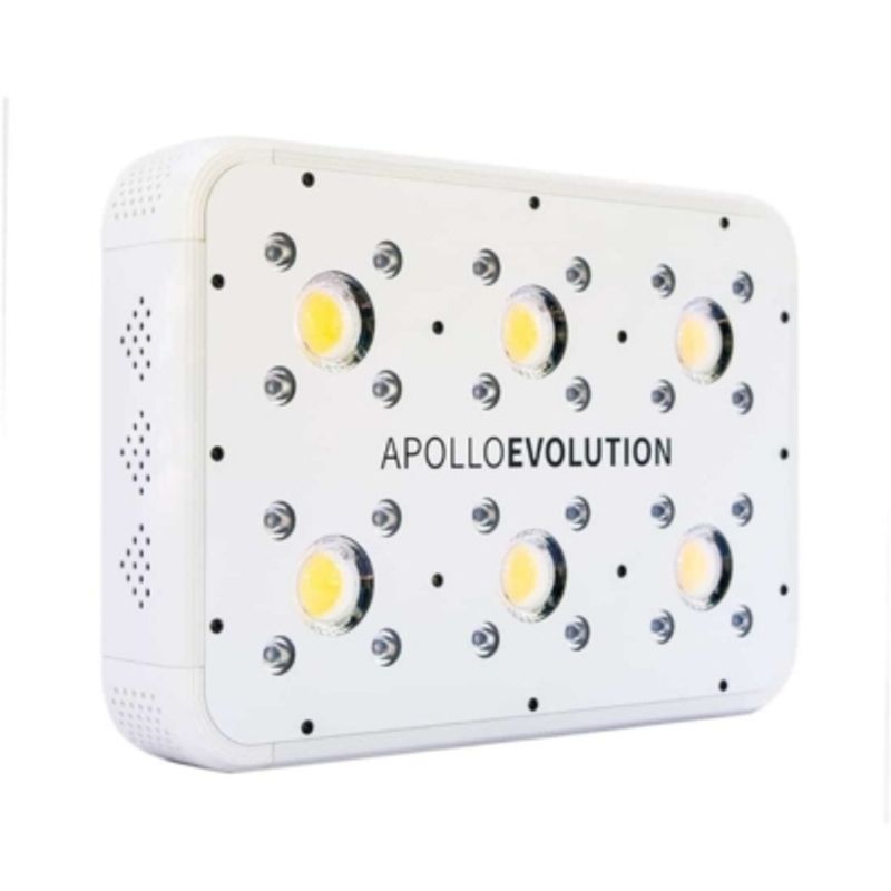 DELIGHT CHILE - APOLLO EVOLUTION 6 180W-DELIGHT