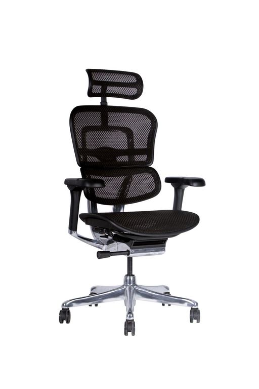 Silla ejecutiva escritorio Ergohuman malla Negra