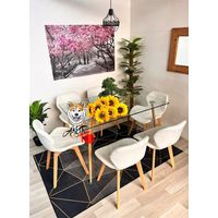 Comedor Tanzania (Mesa 120X80 VIDRIO + 6 Sillas radar velvet BLANCO)