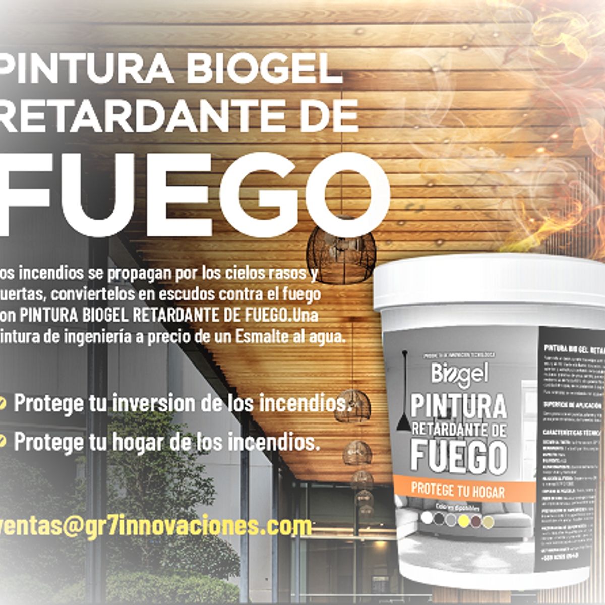 GENERICO - Pintura BG RETARDANTE FUEGO - OFERTA