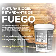 GENERICO - Pintura BIOGEL RETARDANTE DE FUEGO