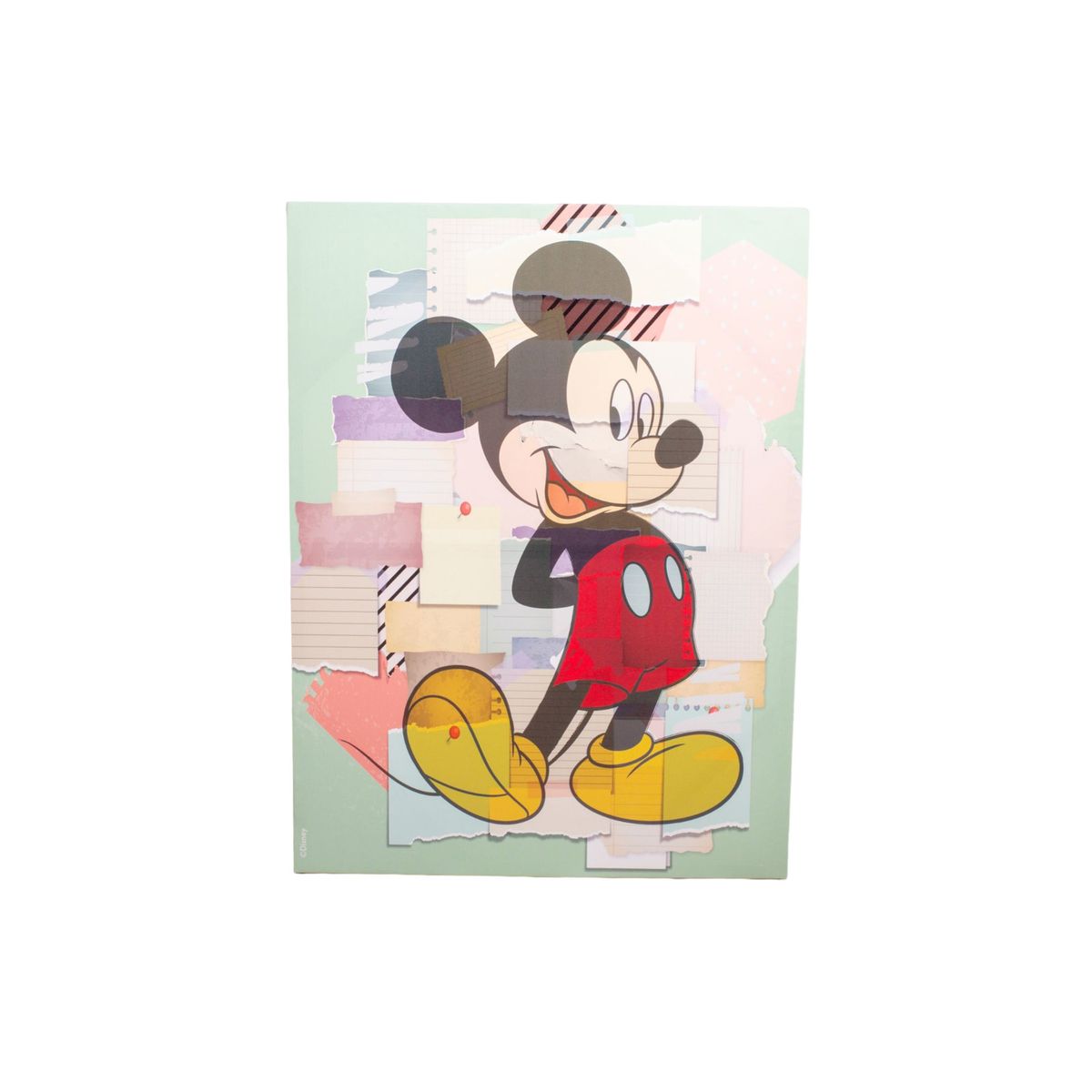 DISNEY - Cuadro Canvas Mickey 3 80 x 60 cms Disney