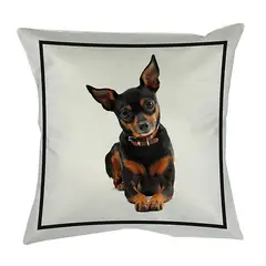 TUYO PRINT - Cojín Classic Pinsher 45x45 -