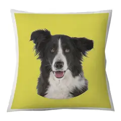 TUYO PRINT - Cojín Color Border Collie 45x45 -Tuyo Print