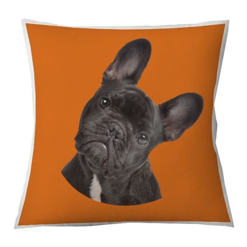 TUYO PRINT - Cojín Color Bulldog Frances Negro 45x45 -Tuyo Print