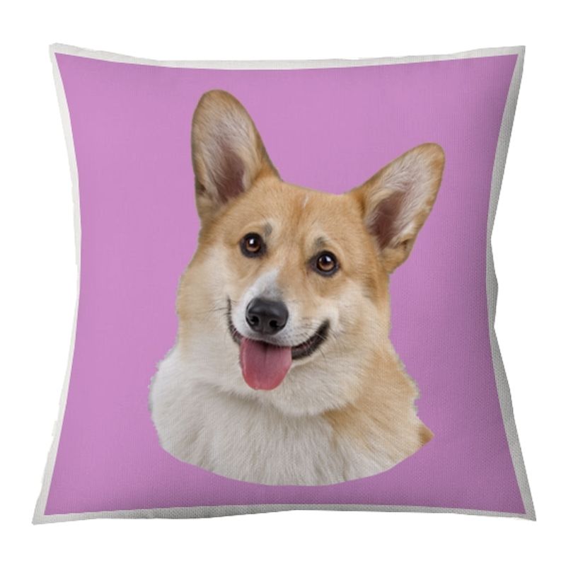 TUYO PRINT - Cojín Color Corgi 45x45 -Tuyo Print
