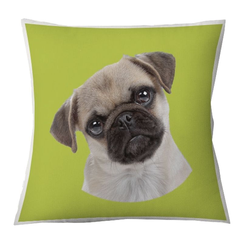 TUYO PRINT - Cojín Color Pug 45x45 -Tuyo Print