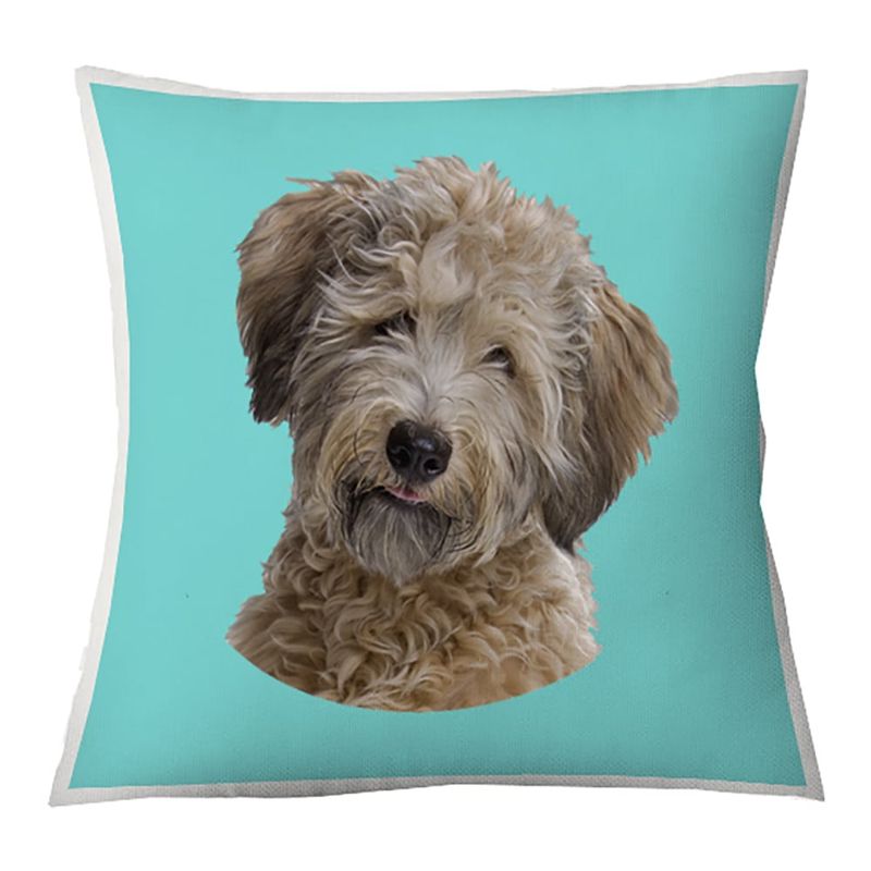 TUYO PRINT - Cojín Color Poodle Toy - 45x45 -Tuyo Print