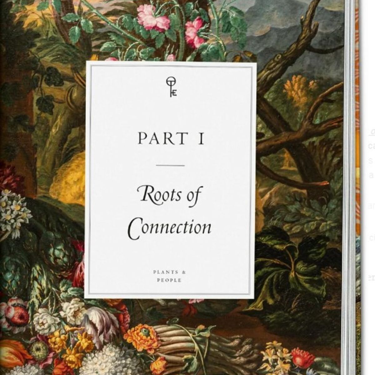 TASCHEN - Va - Esotérica - La Magia De Las Plantas