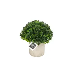 HOMEWELL - Planta Artificial Boj 12*12cm