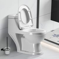 WC One Piece 2003 a Muro