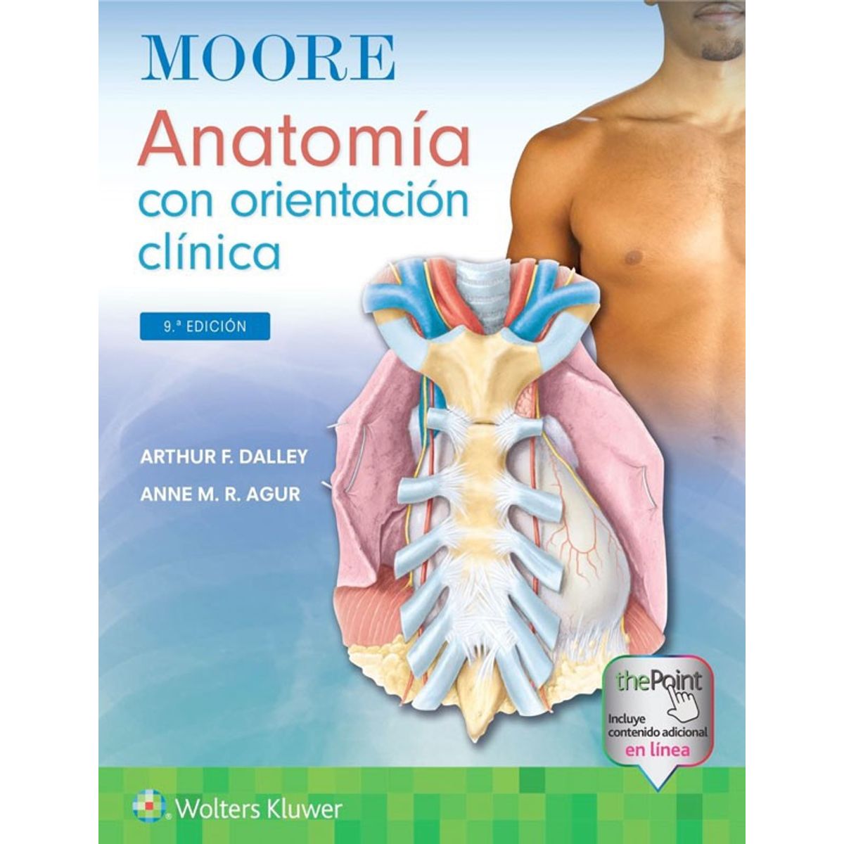 EDITORIAL MEDITERRANEO - Libro Moore. Anatomía Con Orientación Clínica  9Ed.
