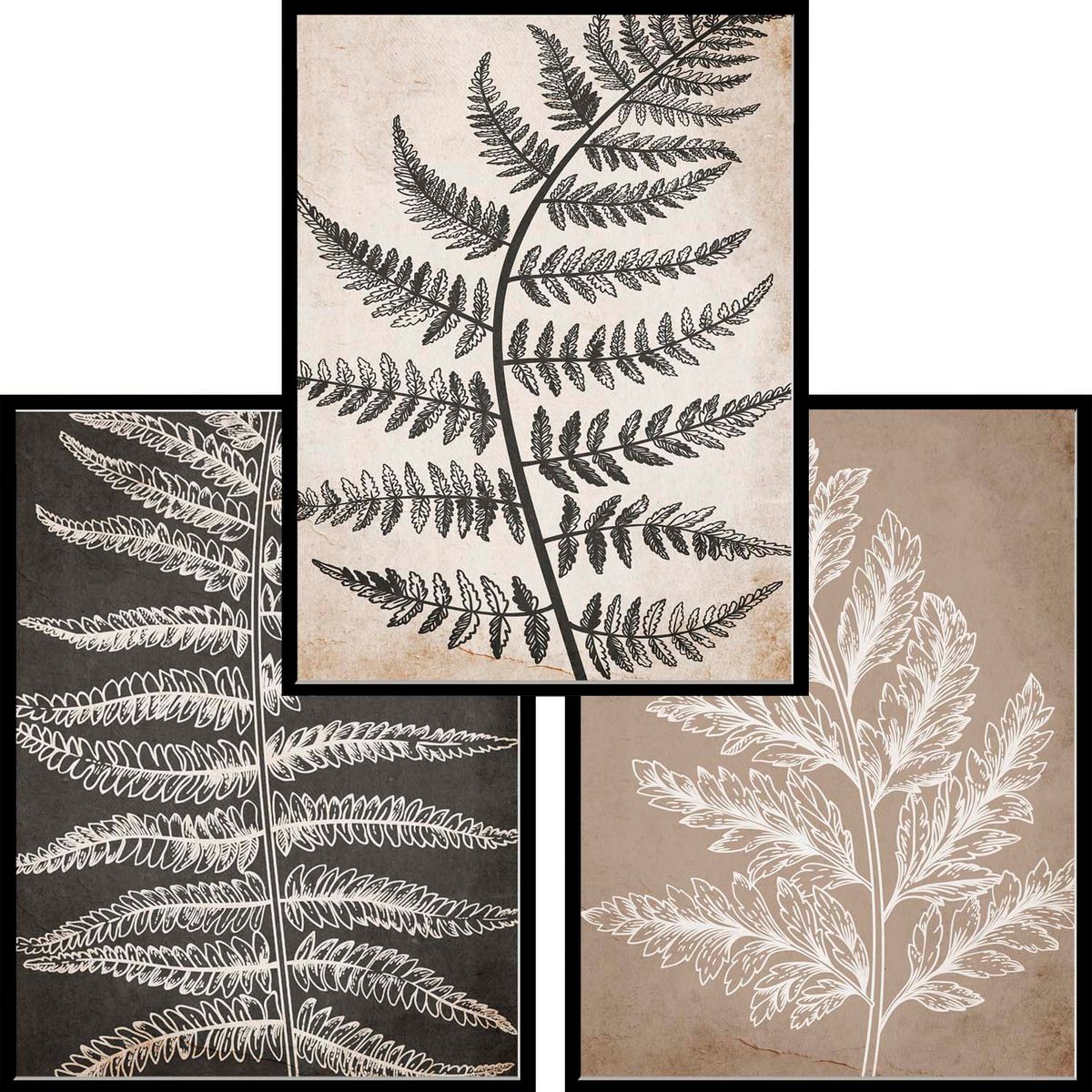 PAPEL ILUSTRADO - Set Folium negro simple 40x50