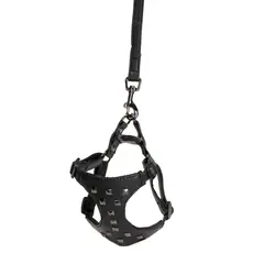 CAMON - Arnes con Correa para Perros Talla S 120x15