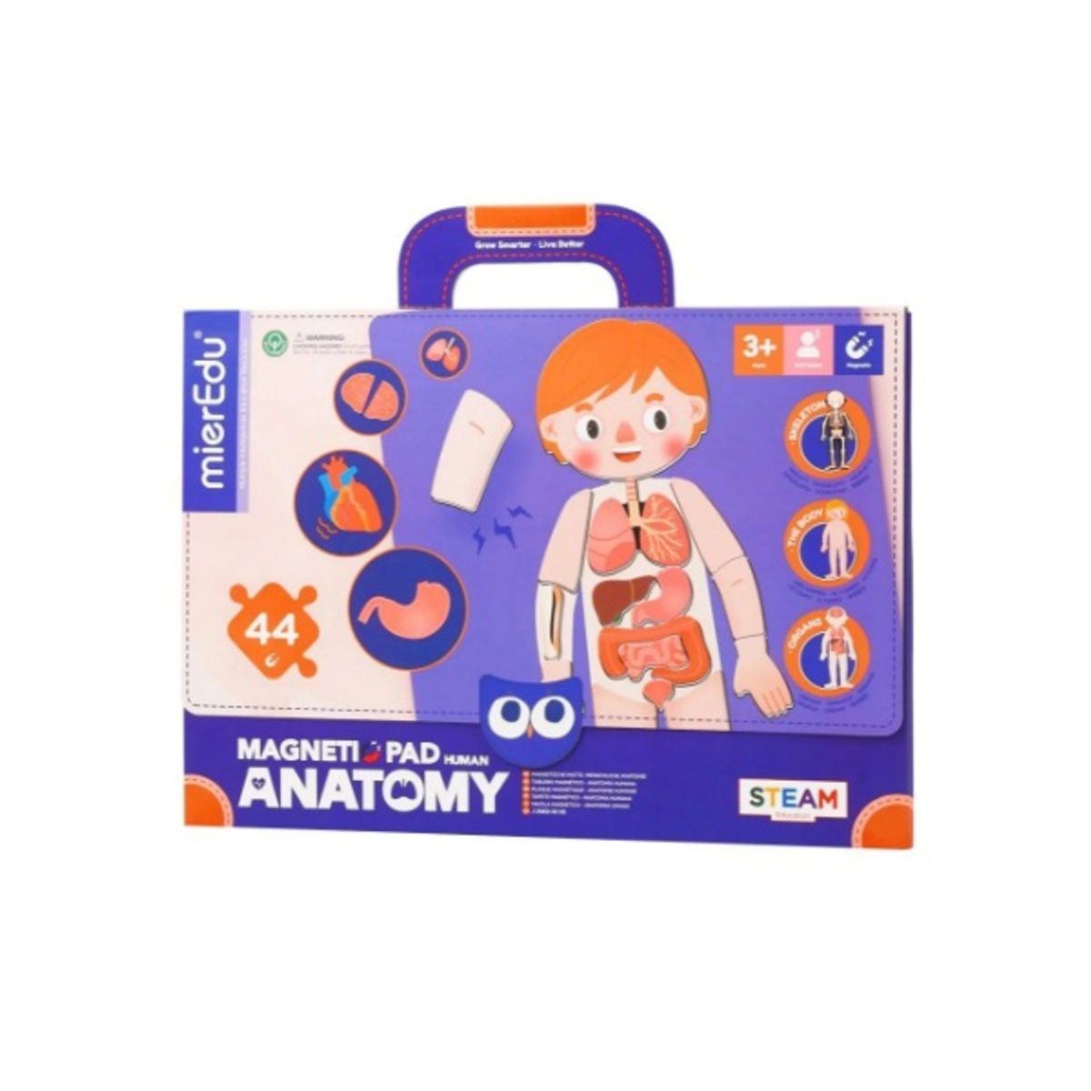 MIEREDU - Maletin Magnetico Anatomia