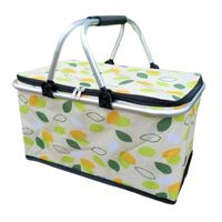 Bolso Termico Plegable Cooler Canasta Picnic Semillas