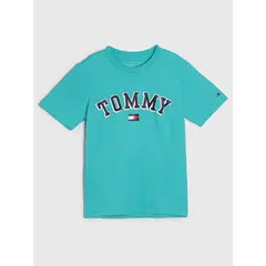 TOMMY HILFIGER - Polera Con Logo Circular Verde Niño