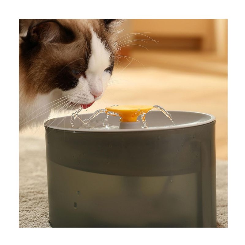 GENERICO - Fuente De Agua Para Gato Dispensador Automático Ergonómico