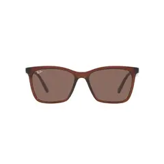 RAY BAN - Lentes de Sol Traslucent Brown Ray-Ban
