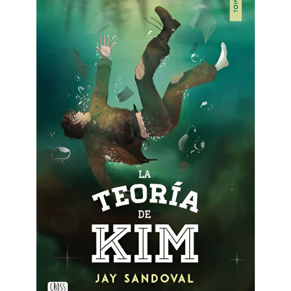 TOP10BOOKS - LIBRO La Teoría De Kim - La Teoría De Kim