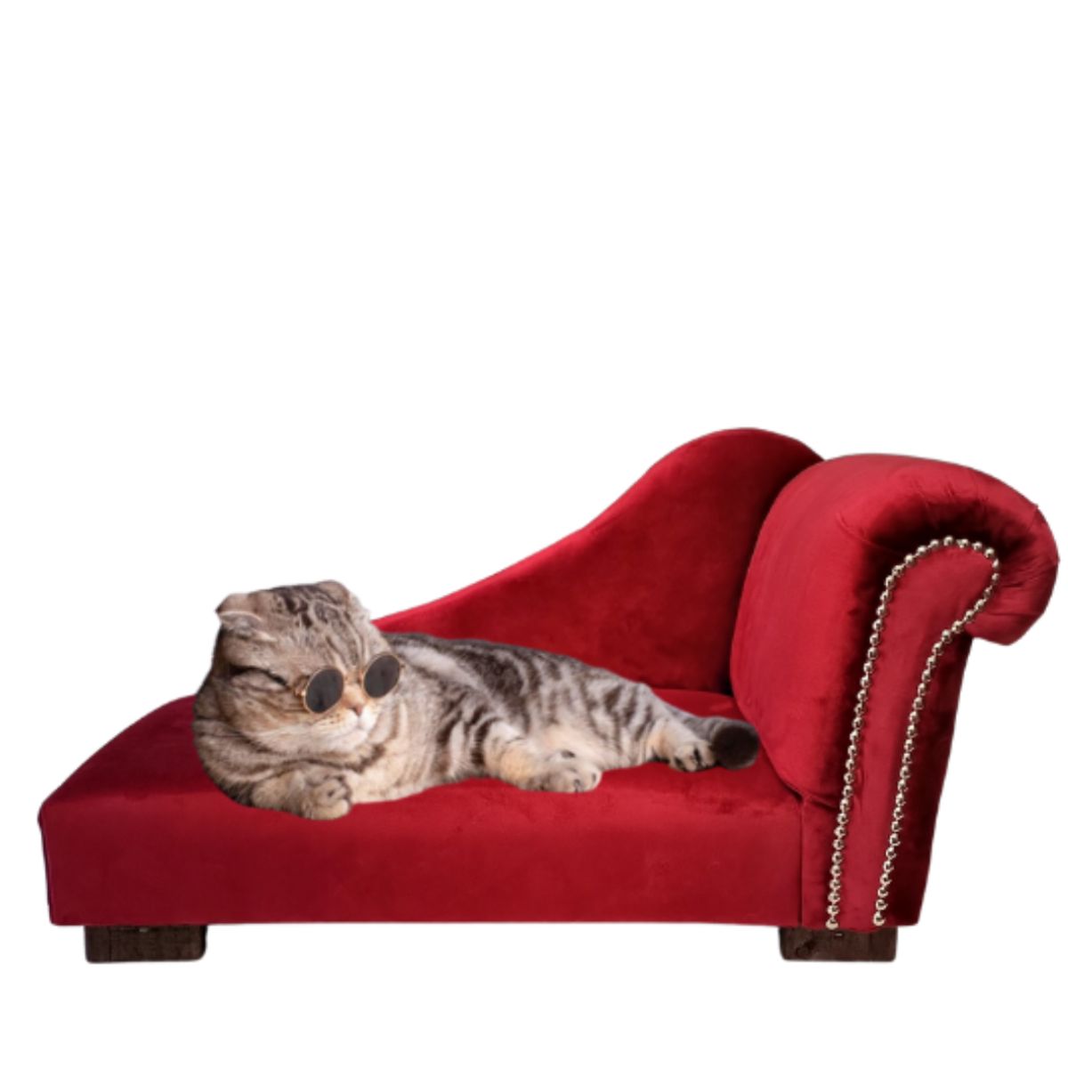 GENERICO - Sofá Mascota Chaise Lounge