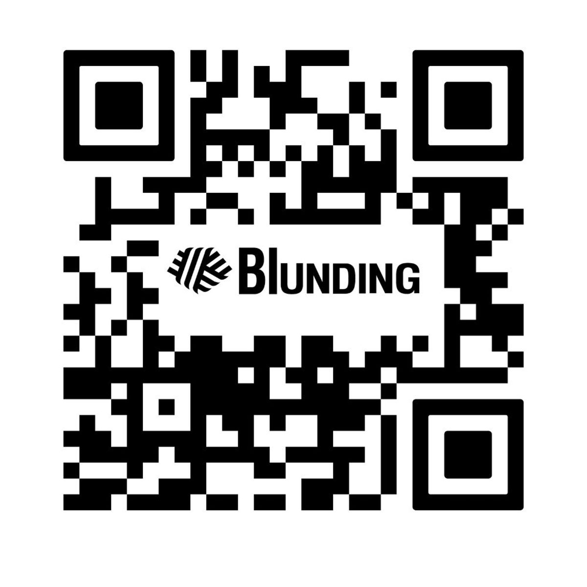 BLUNDING - Tens EMS fitness Blunding 2 canales