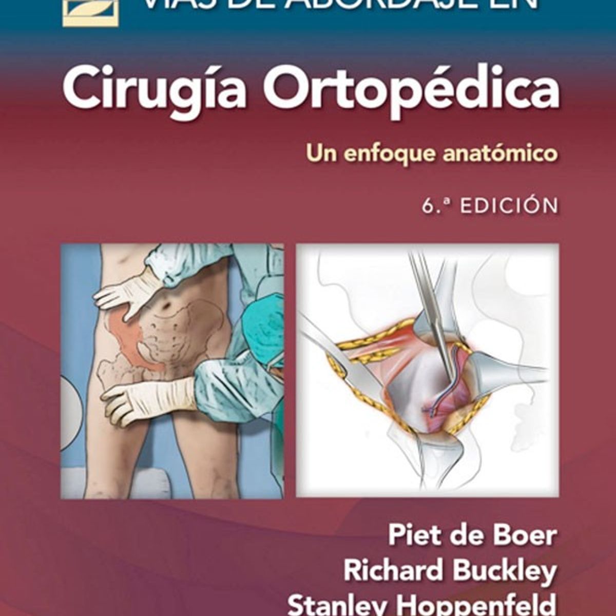 EDITORIAL MEDITERRANEO - Libro Vias De Abordaje En Cirugia Ortopedica. Un E