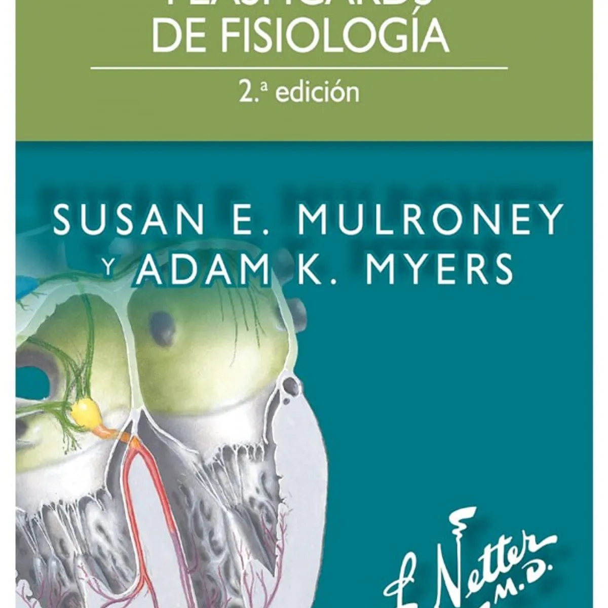 EDITORIAL MEDITERRANEO - Libro Netter. Flashcards De Fisiologia 2Ed.