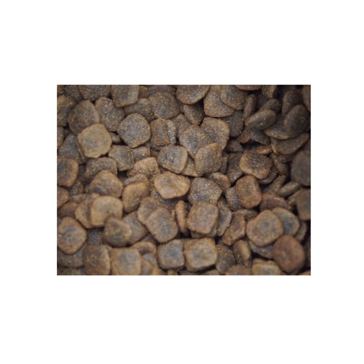 BRAVERY - Bravery Cordero Perro Adulto Mini 7kg