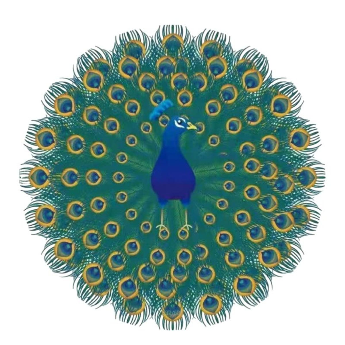 GENERICO - Toallas Verano De Playa Redondas De Diseños 150x150cm