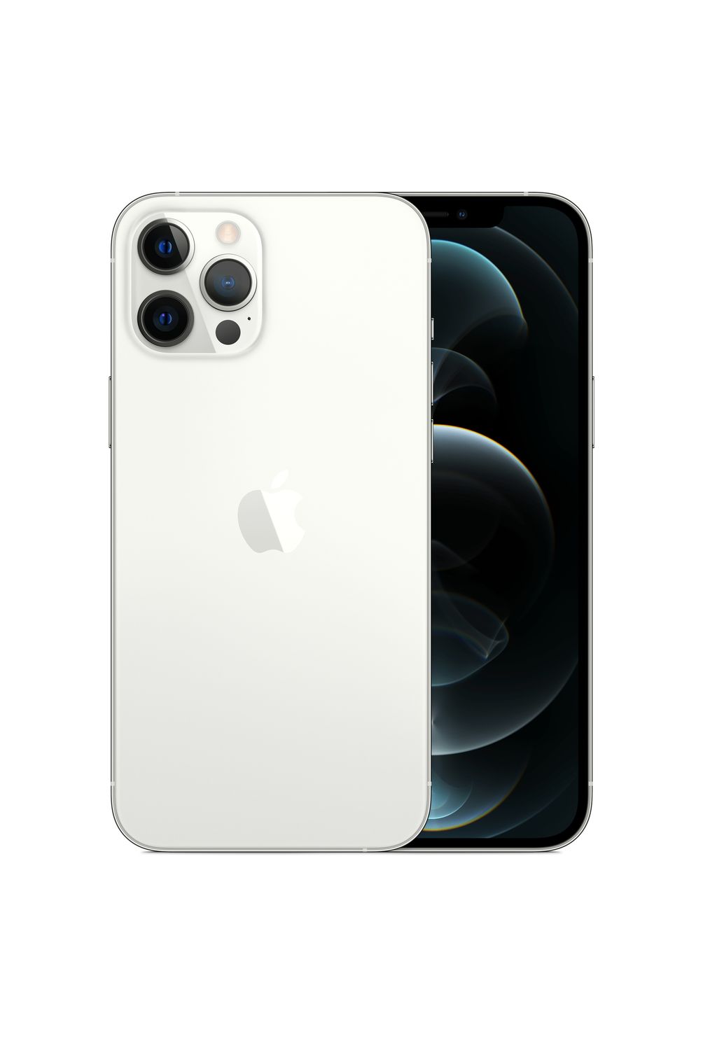 w=1004,h=1500,fit=pad