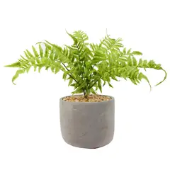 THE GREEN ELEMENT - Planta Decorativa Helecho Inés 36 CM con Macetero