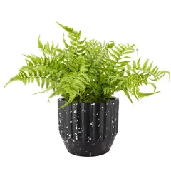 THE GREEN ELEMENT - Planta Decorativa Helecho Irene 39 CM con Macetero