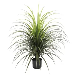 THE GREEN ELEMENT - Yuca 100 CM, Con Filtro UV