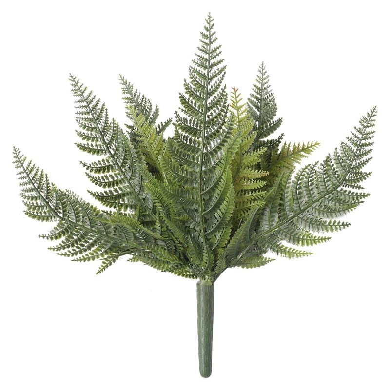 THE GREEN ELEMENT - Helecho Persa 60 CM, Con Filtro UV