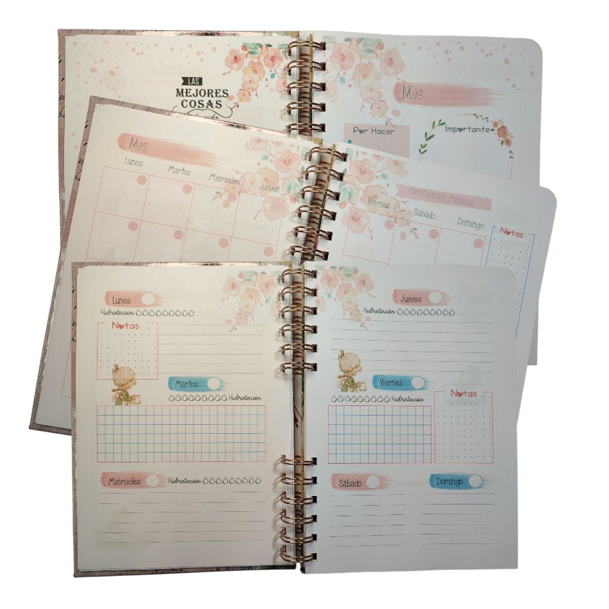 INDEPENDIENTE - Planificador Anual Sara Kay 2