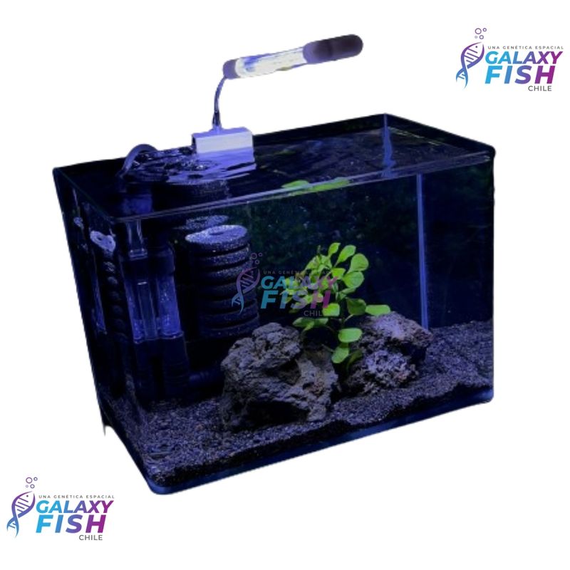 GENERICO - Kit Acuario Completo