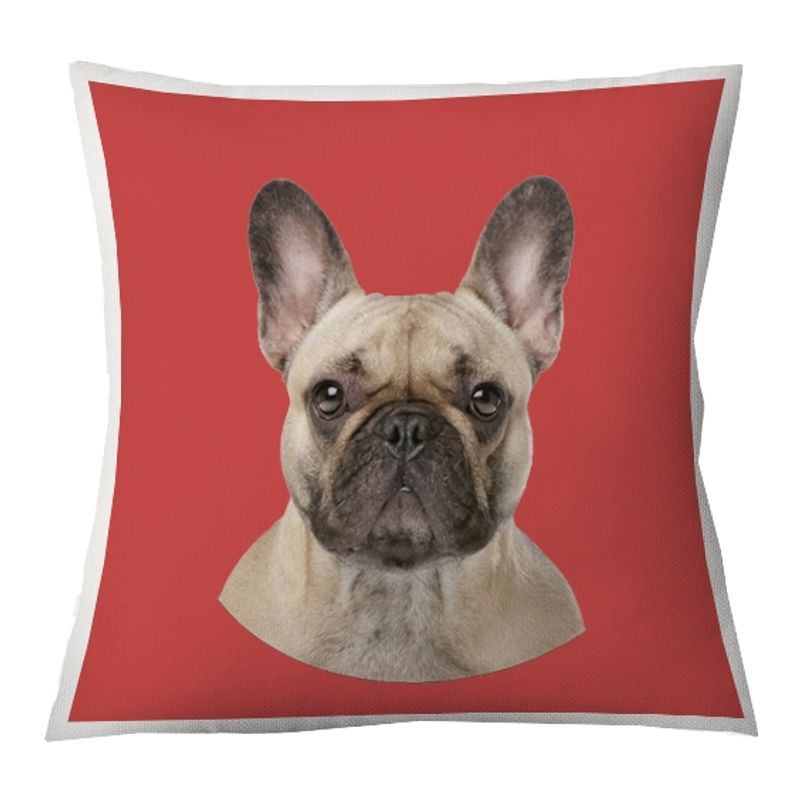 TUYO PRINT - Cojín Color Bulldog Frances Beige 45x45 -Tuyo Print