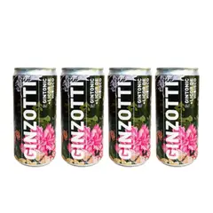 GABRI WILD PATAGONIAN PRISTINE GIN & VODKA - Ginzotti 9º 250cc x4