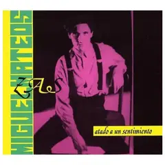 HITWAY MUSIC - MIGUEL MATEOS - ATADO A UN SENTIMIENTO - VINILO