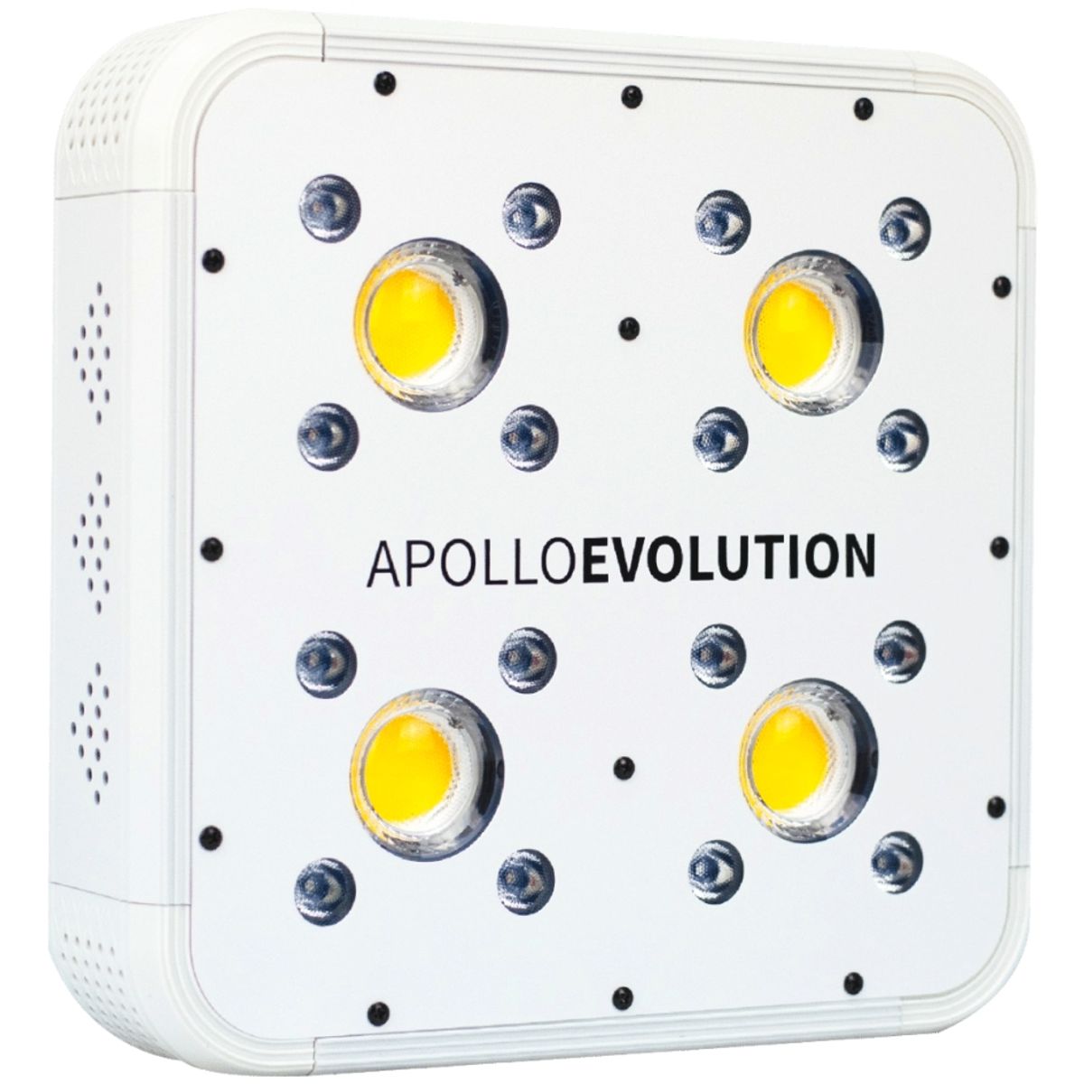 DELIGHT CHILE - APOLLO EVOLUTION 4 127W-DELIGHT