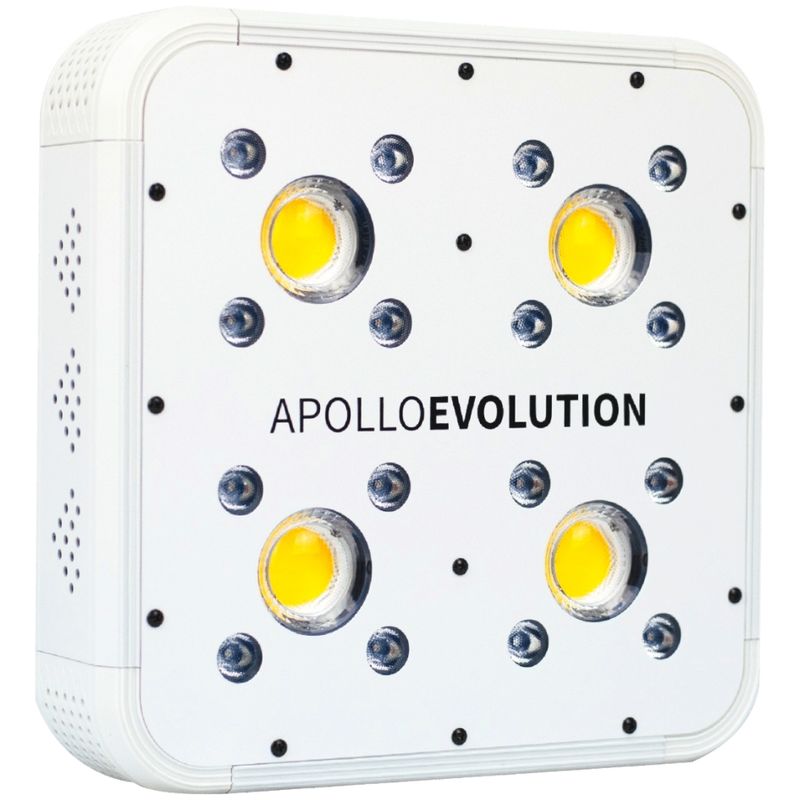 DELIGHT CHILE - APOLLO EVOLUTION 4 127W-DELIGHT
