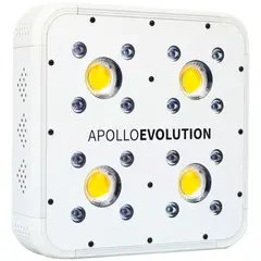 DELIGHT CHILE - APOLLO EVOLUTION 4 127W-DELIGHT