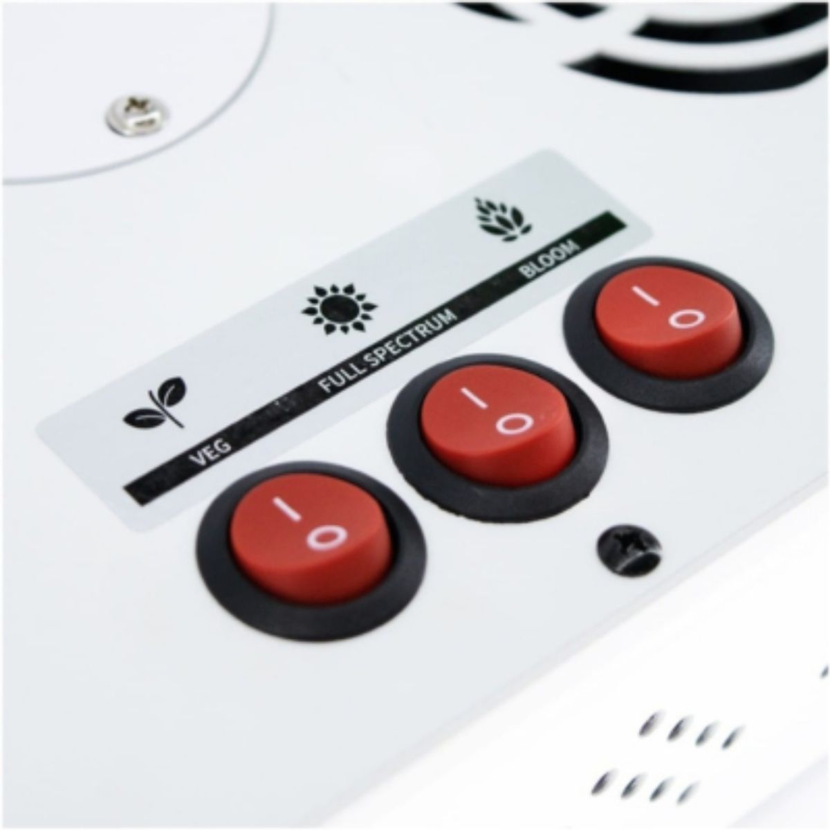 DELIGHT CHILE - APOLLO EVOLUTION 4 127W-DELIGHT