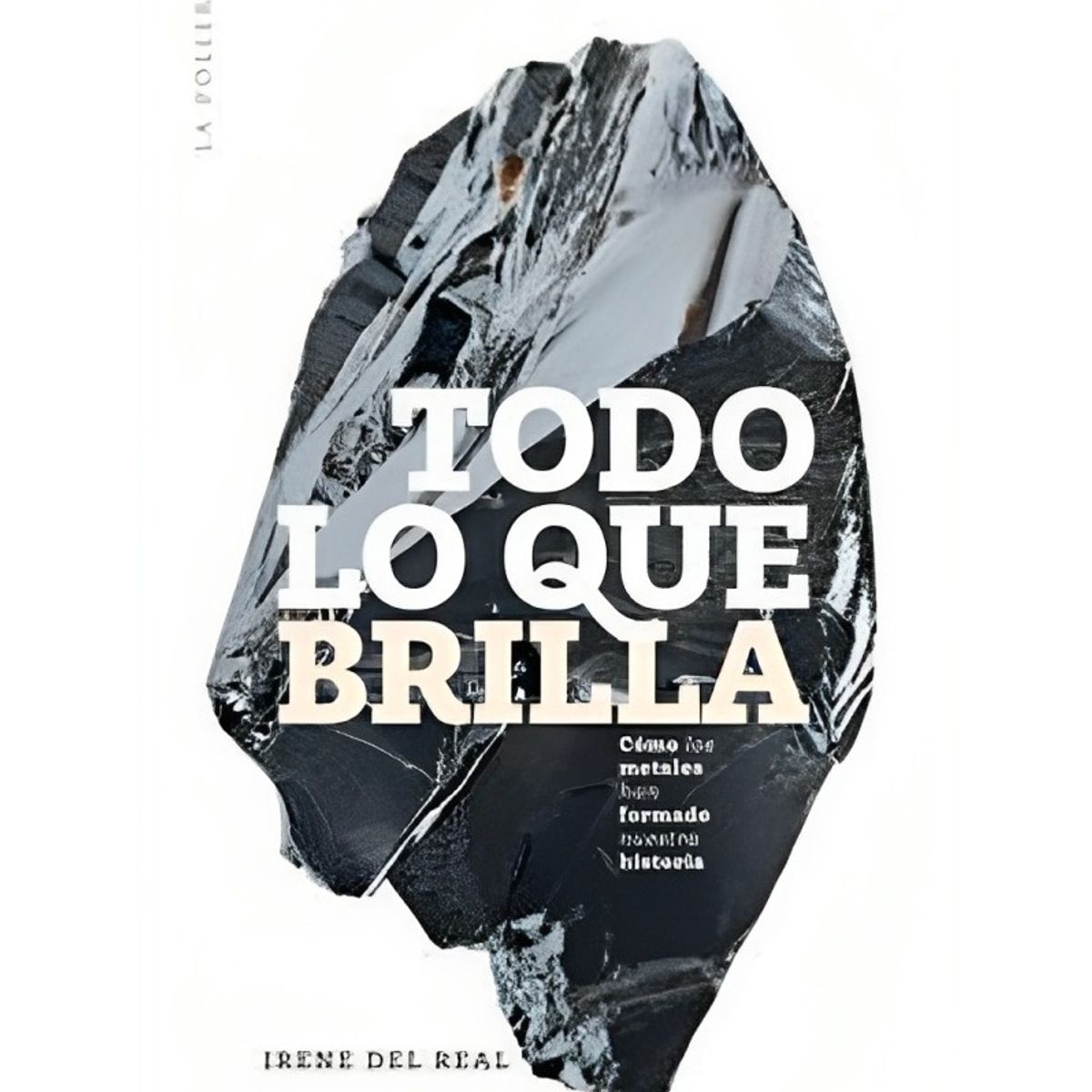 TOP10BOOKS - LIBRO Todo Lo Que Brilla - Todo Lo Que Brilla