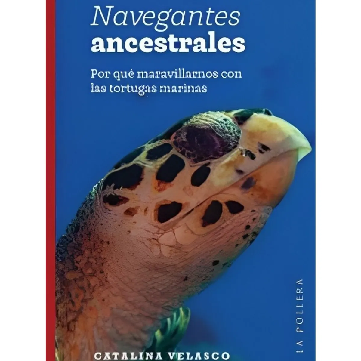 TOP10BOOKS - LIBRO Navegantes Ancestrales - Navegantes Ancestrales